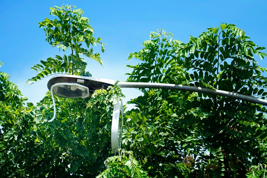 A broken street light on Kaiau Avenue is photographed Friday, Aug. 29, 2025, in Kapolei. This is for a Fix It story. (Kevin Fujii/Civil Beat/2025)
