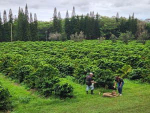 Smart State Investments Deliver Real Returns For Hawai‘i