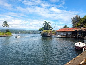Will Bailey: Why East Hawai‘i’s Fishery Has Fallen On Hard Times