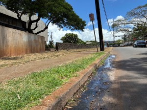 Water has been flowing into the gutter from the Diamond Head Health Center around the clock. (Caitlin Thompson/Civil Beat/2025)