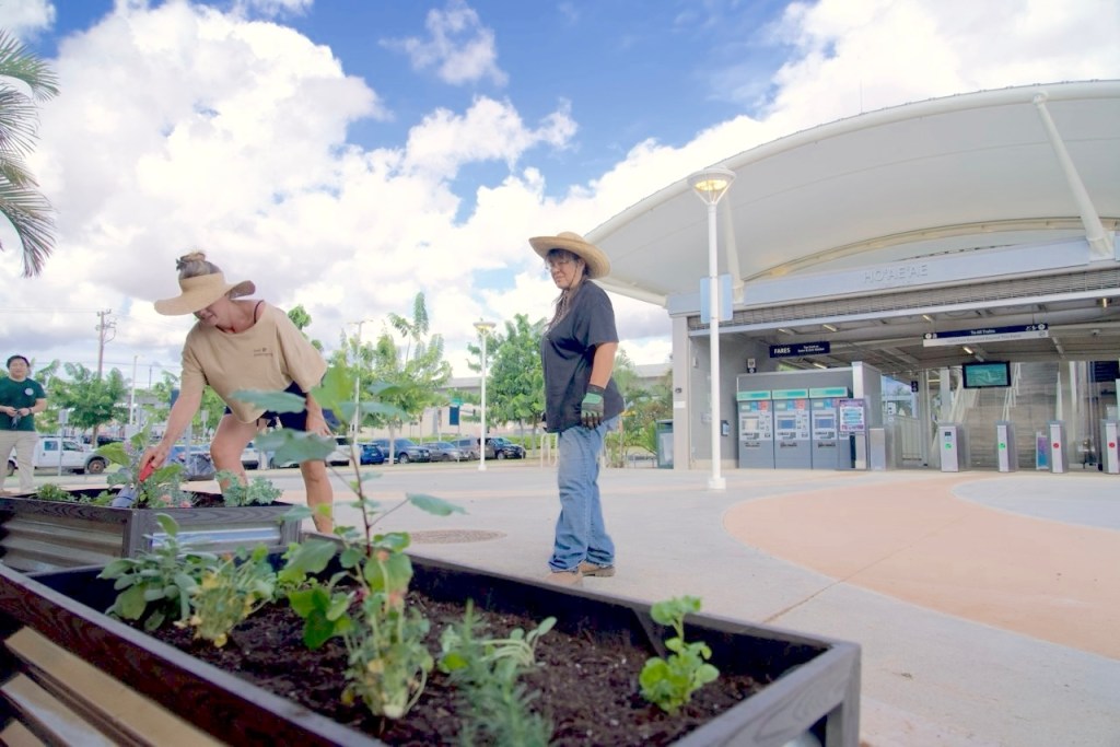 Hō'ae'ae Station is one of two Skyline station test sites for the Bloomberg Philanthropies Mayors Challenge, in which Honolulu wants to make food more publically available with local food on people's commutes. (Thomas Heaton/Civil Beat/2025)