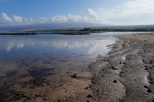 Puakō Beach Park’s shoreline is placid Friday morning, Oct. 3, 2025, in Waimea. (Kevin Fujii/Civil Beat/2025)