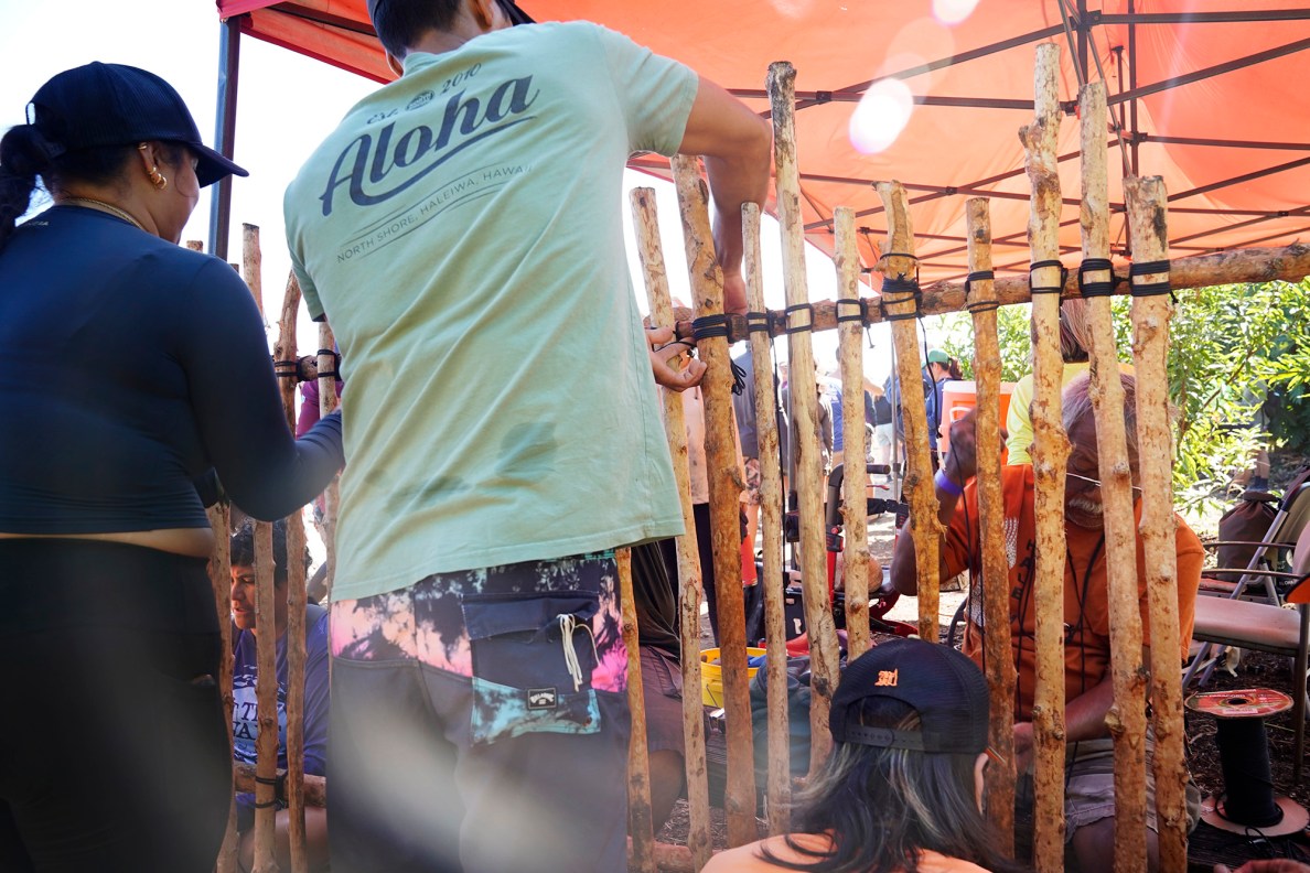 A new mākāhā (sluice gate placed between wai (fresh water) outlet and kai (salt water) is lashed together during the Moʻokuapā event at He‘eia Loko I‘a Saturday, Dec. 13, 2025, in Kāneʻohe. 2,000 volunteers joined the Moʻokuapā community work day to finish the wall of the 800-year-old He‘eia loko i‘a (fishpond). (Kevin Fujii/Civil Beat/2025)