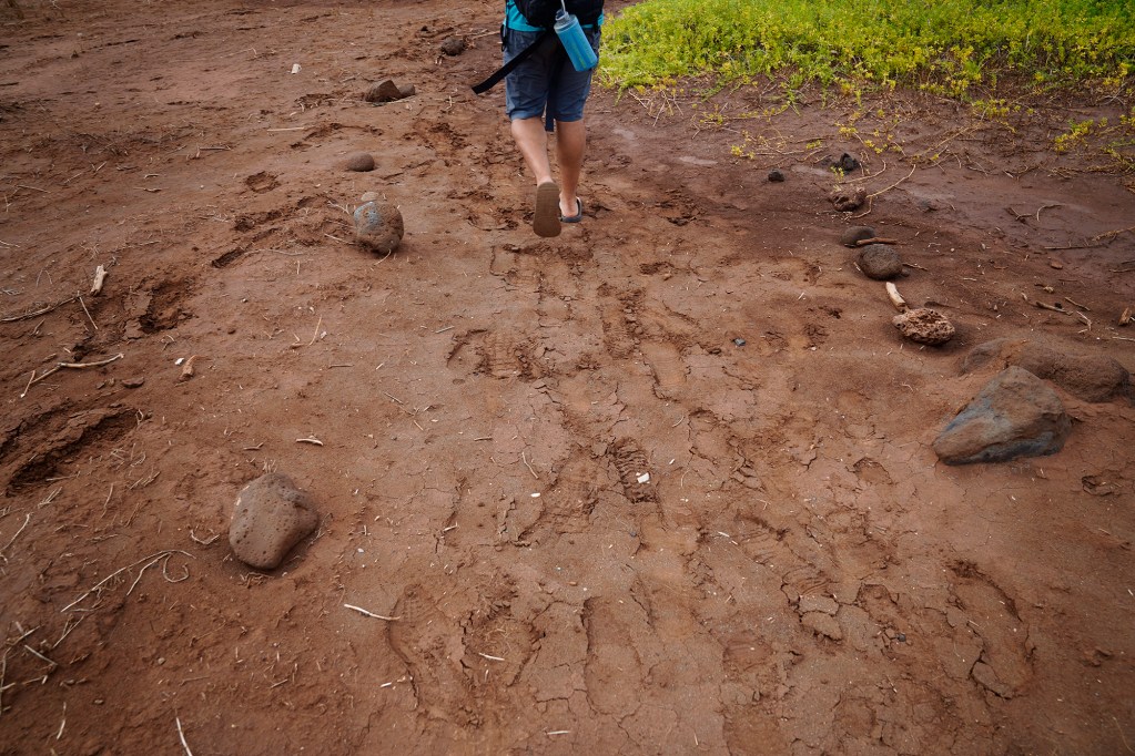 Most of the area at Hakioawa has been cleared of unexploded ordnance. Protect Kahoʻolawe ʻOhana (PKO) marks paths to travel on the Target Isle Monday, Jan. 5, 2026, in Hakioawa. PKO celebrates the 50th year of sovereign land. (Kevin Fujii/Civil Beat/2026)