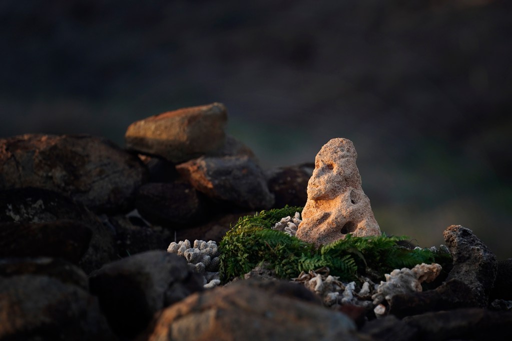 Akua A‘ia‘i looks toward Maui as Protect Kahoʻolawe ʻOhana (PKO) Davianna Pomaika‘i McGregor describes his history Tuesday, Jan. 6, 2026, in Hakioawa. “Akua Aʻiaʻi was brought to Hakioawa, Kahoʻolawe, by Kahuna Sam Lono for the February 13, 1976, ʻaha ceremony to cleanse the land of the military abuse and open the connection of what became the Protect Kahoʻolawe ʻOhana to the spirits of the land, asking their permission to open a relationship of protection for the ʻāina.” McGregor wrote in an email. “He was taken by military personnel in 1977 and then turned over to the Bishop Museum, which recently returned him to the Protect Kahoʻolawe ʻOhana. This kiʻi is brought out when the ʻOhana is present at the site.” (Kevin Fujii/Civil Beat/2026)