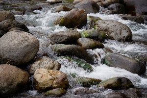 North Kona’s Primary Aquifer Provides Plenty Of Water — For Now