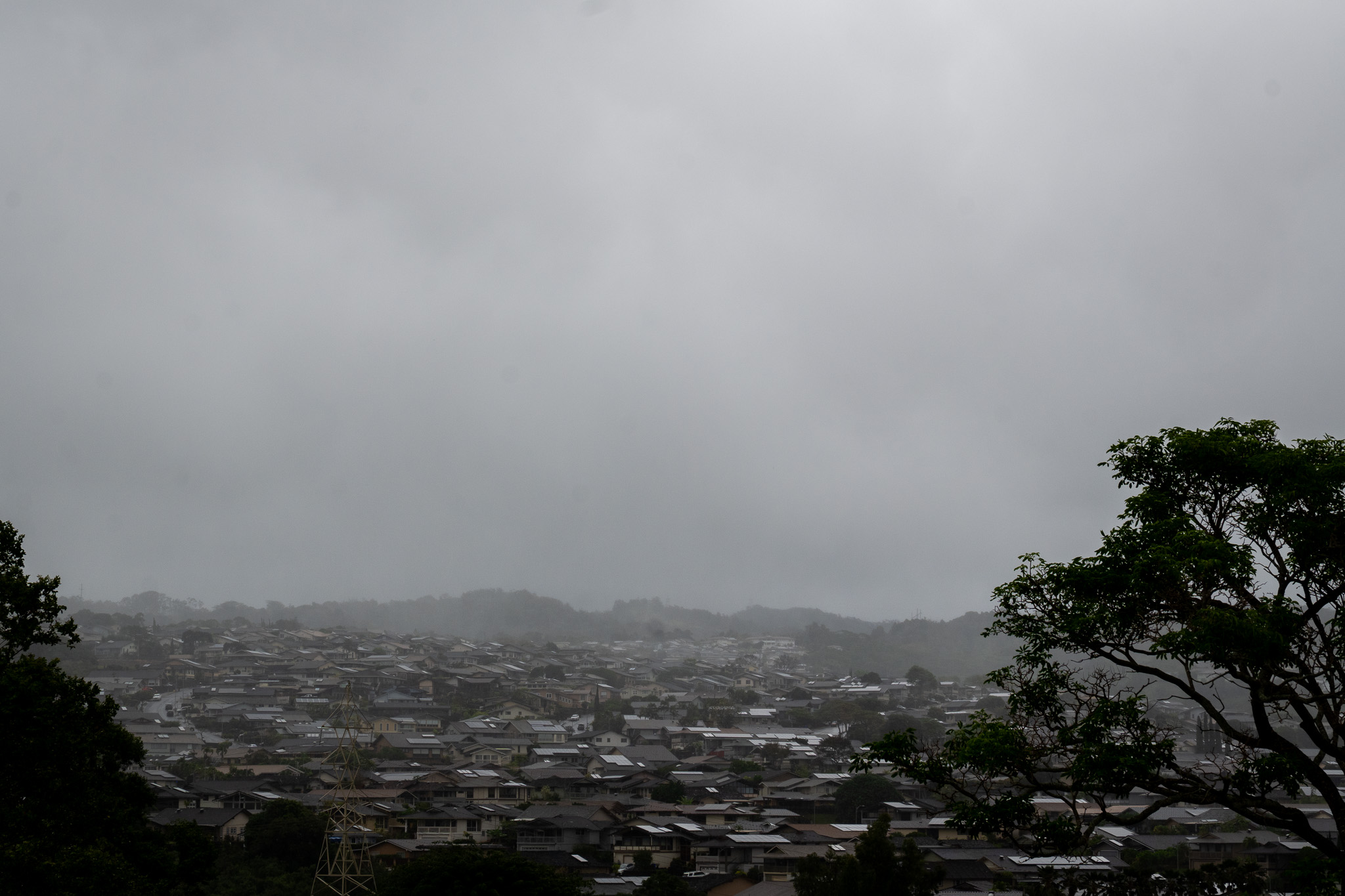 Low and persistent cloud cover over Royal Summit in Aiea, Monday, Feb. 9, 2026. (Craig Fujii for Civil Beat).