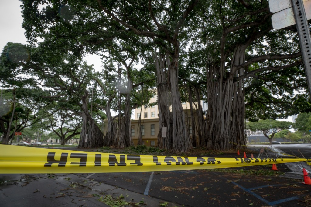 The banyan tree on the grounds of Ali'iolani Hale is cordoned off Monday, Feb. 9, 2026 because of broken branches from high winds and rain that struck Oahu the last two days. (Craig Fujii for Civil Beat).