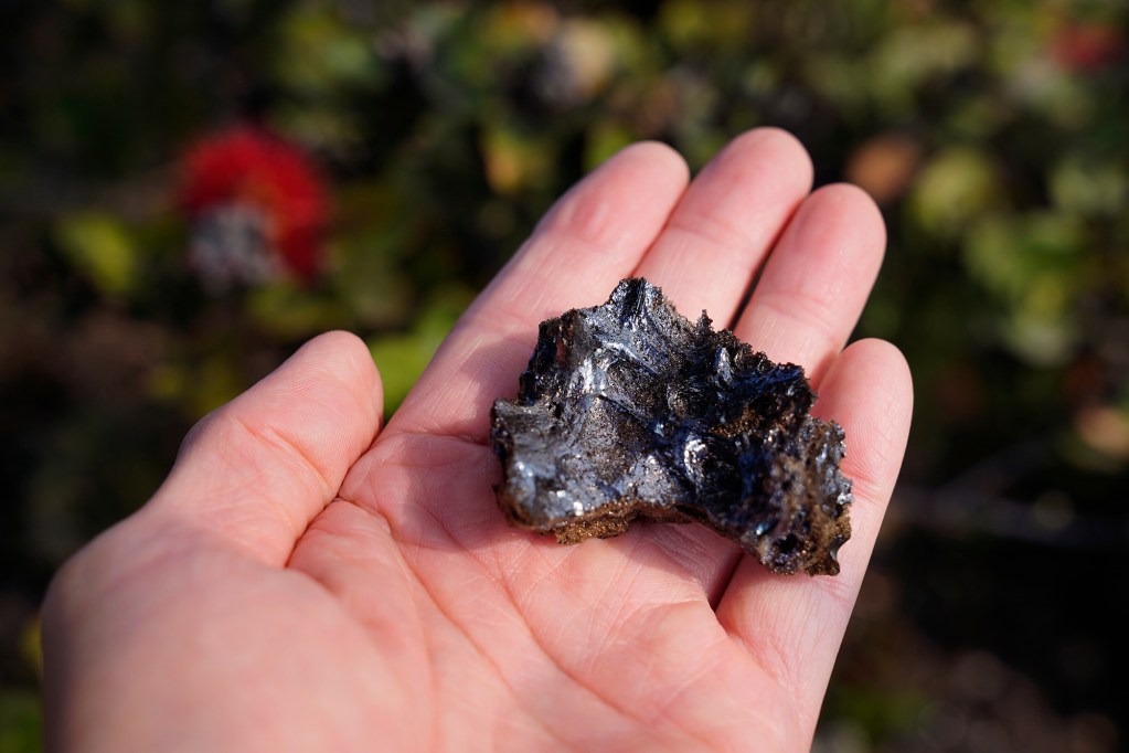 Tephra litters the area around Hawaiʻi Volcanoes National Park after Kīlauea’s 41st episode Thursday, Feb. 5, 2026, near Volcano, Hawaiʻi Island. (Kevin Fujii/Civil Beat/2026)