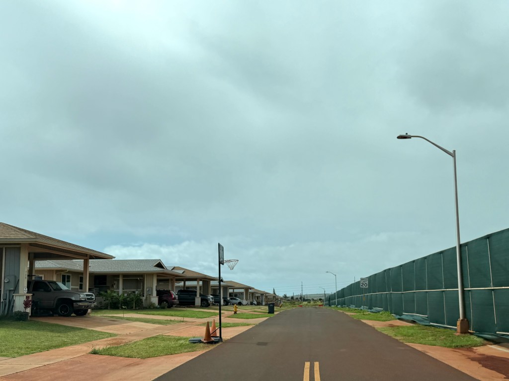 A row of houses sits to the left of the road, while a green dust screen has been built on the right side.