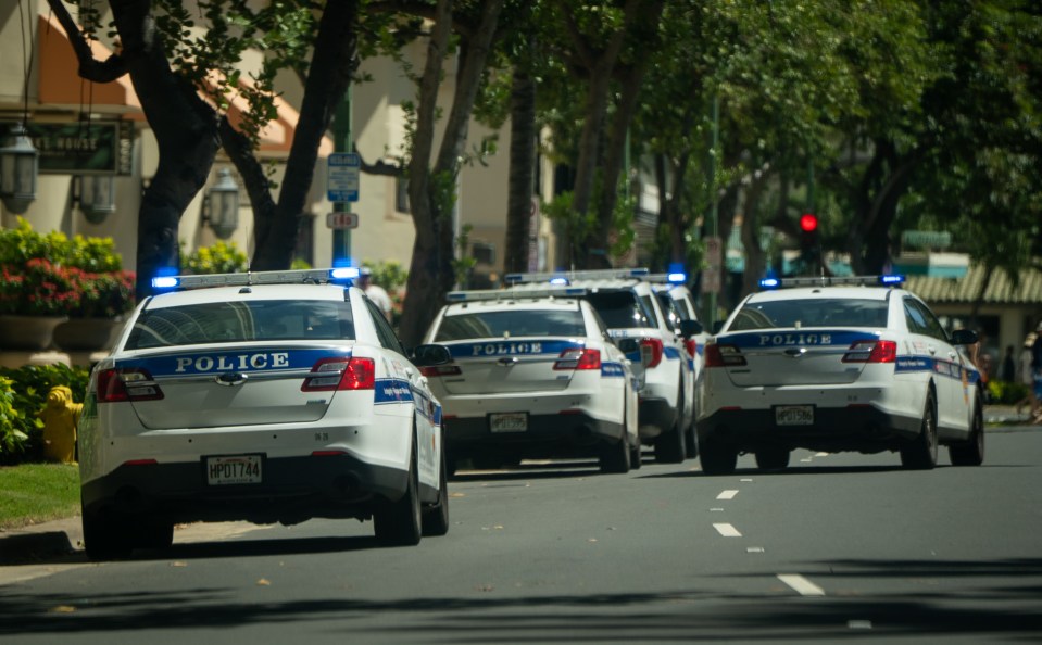 The rear of several white Honolulu Police Department vehicles are seen with blue lights on. The word “police” is written in white across the trailing edge of each car’s trunk.