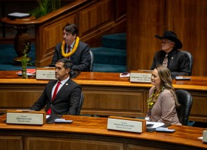 Beth Fukumoto: Scoring Political Points Won’t Help Hawaiʻi’s Budget Woes