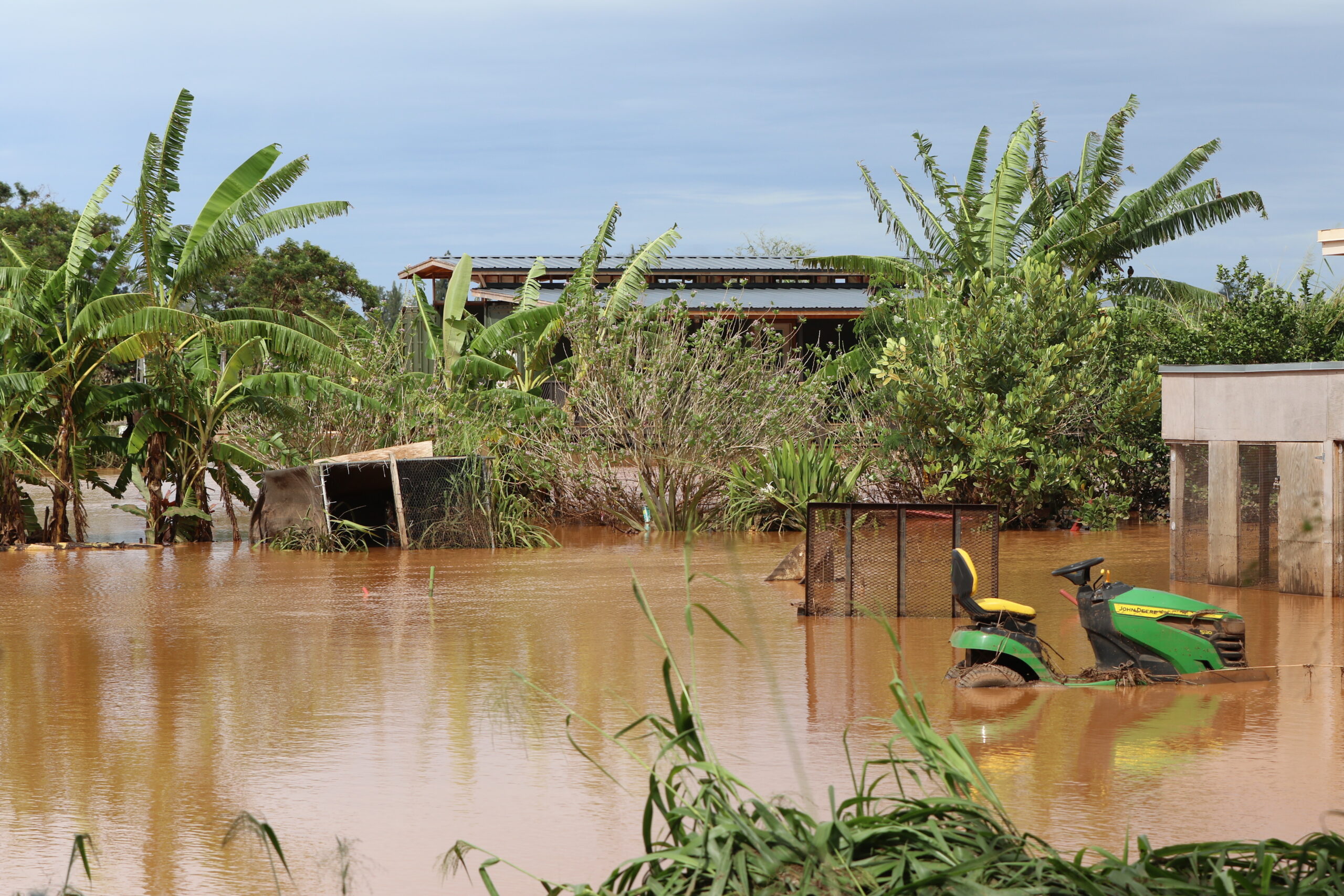 civilbeat.org - Albie Miles - Hawaiʻi Must Reframe Its Food Priorities