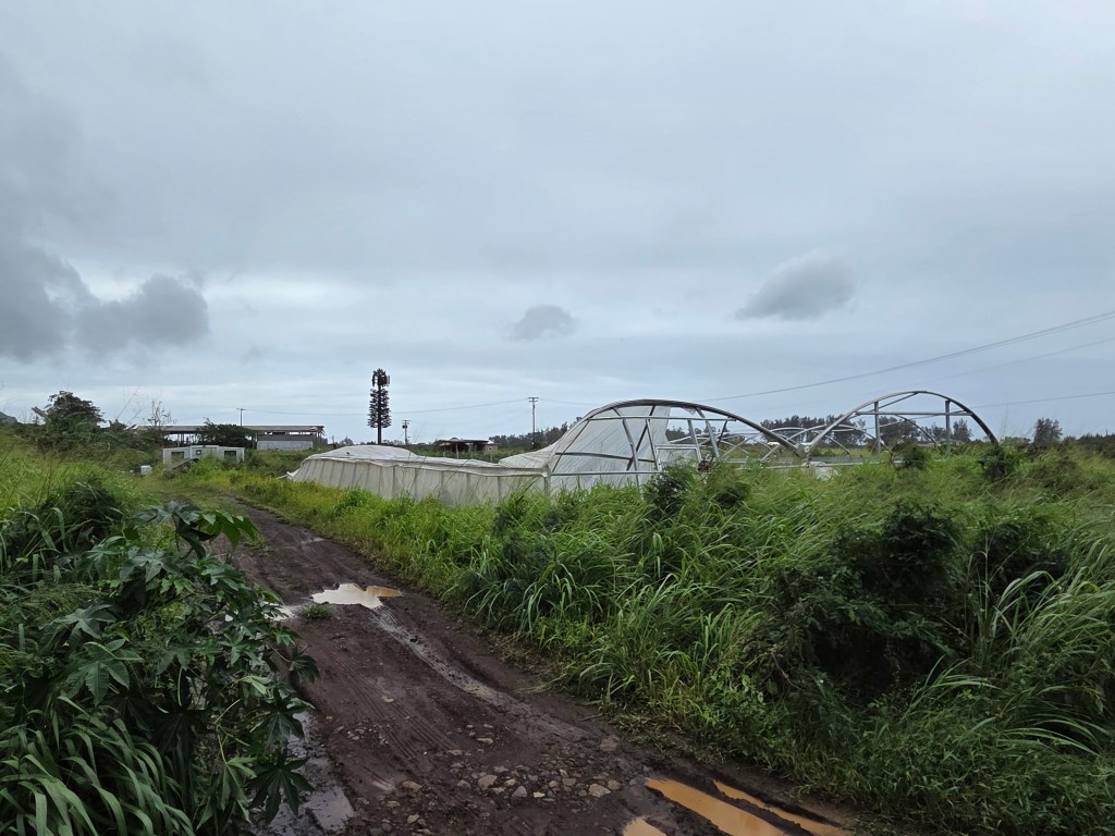 A hoop house at Kaʻena Farm Lots that was damaged in the March 2026 storms.