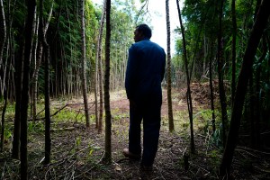 A New Era for West Kaua‘i’s Agriculture?