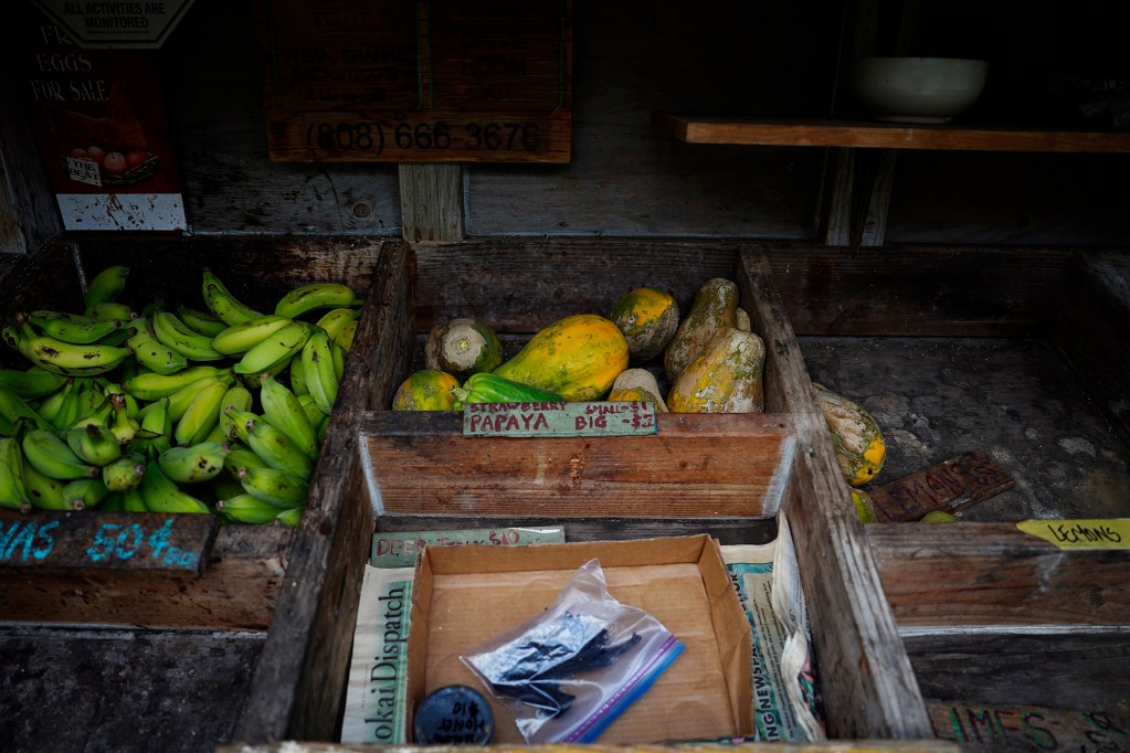 Farm-grown produce in a rural east Molokaʻi farm stand are photographed Wednesday, May 27, 2026, along Hawaiʻi State Route 450. (Kevin Fujii/Civil Beat/2026)