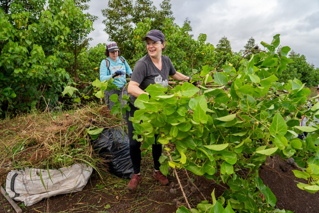 Megan Dooley, front, and pastor Rebecca Stringer from Wellspring Covenant Church pull branches and small trees from a ditch at Mill 6 Farms in Waialua May 23, 2026. This ditch is 1,800 feet long and just more than 180 feet of one side was cleared in four hours. (Craig Fujii/Civil Beat/2026)