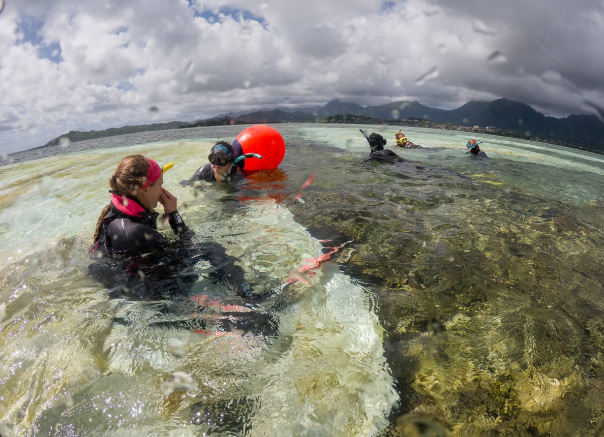 Lizzy Monaghan, left, talks with Kate Gonzalez at a shallow water site covered with tarps at Kāneʻohe Bay May 28, 2026. The tarps were placed to test measures for eradicating an invasive anemone, Manjano. (Craig Fujii/Civil Beat/2026)