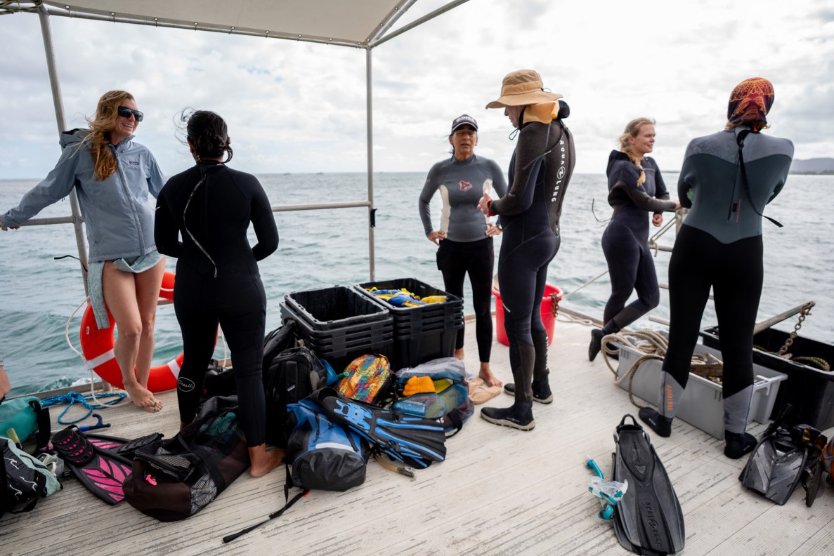Invasive anemone stakeholders prepare to survey Reef Eight in Kāneʻohe Bay May 28, 2026. The group are trying to eradicate the invasive anemone Anemonia majano. (Craig Fujii/Civil Beat/2026)
