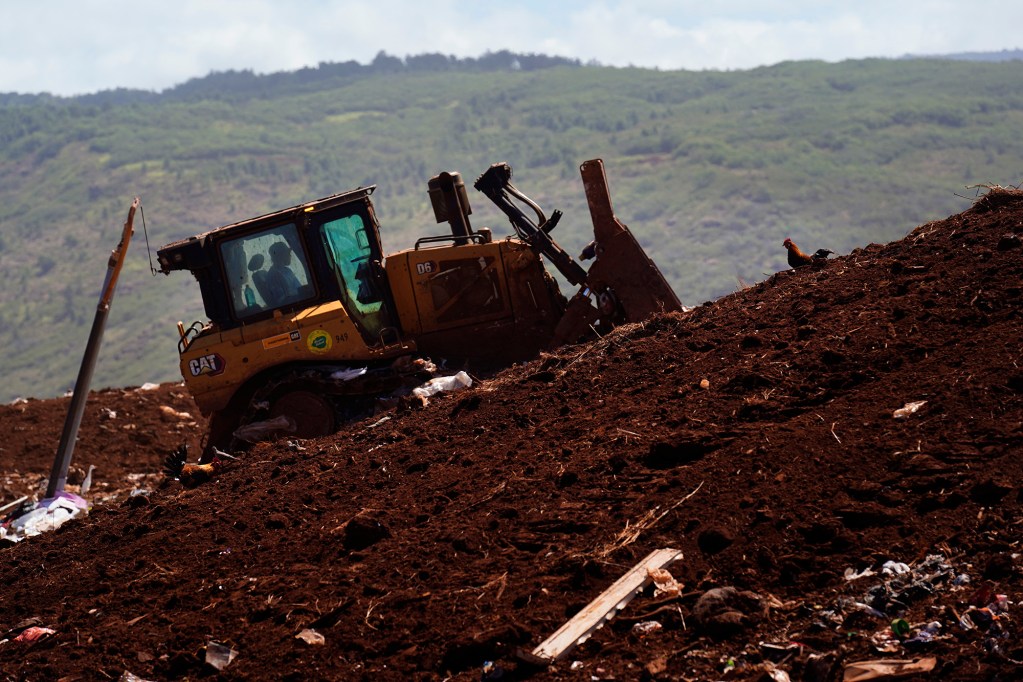 A rooster looks for a meal while County of Kauaʻi workers spread rubbish at the Kekaha Landfill Friday, June 5, 2026, in Kekaha. (Kevin Fujii/Civil Beat/2026)