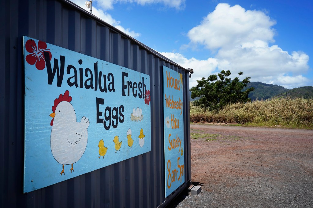 The Waialua Fresh Eggs store is photographed Wednesday, June 24, 2026, in Waialua. (Kevin Fujii/Civil Beat/2026)