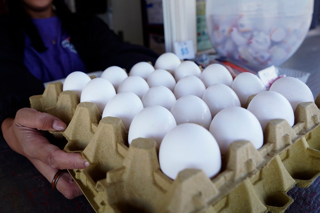 Ahzareh Shelton-Peters hands eggs to a customer on her first day working at the Waialua Fresh Eggs store Wednesday, June 24, 2026, in Waialua. (Kevin Fujii/Civil Beat/2026)