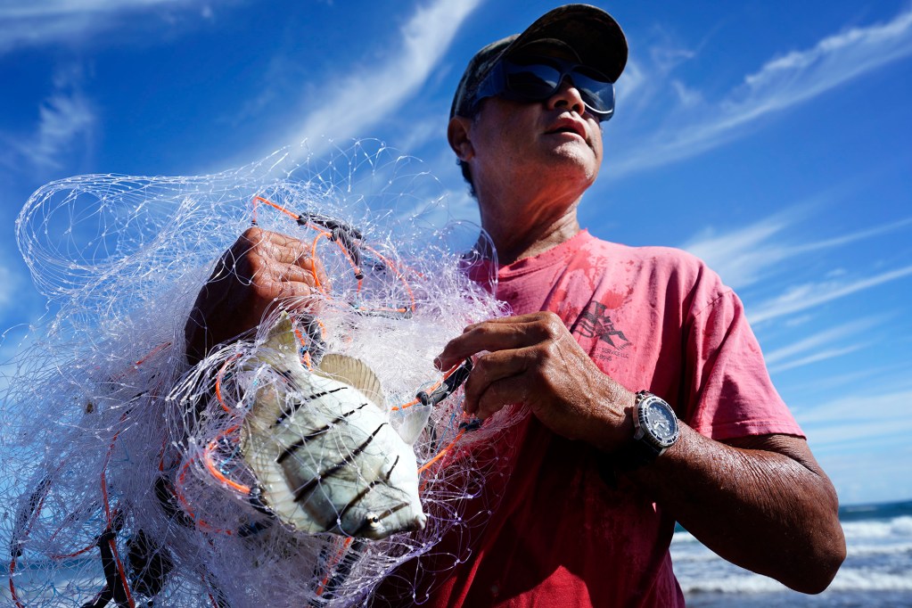Keli‘i Alapa‘i yells to his son after catching a few manini, also called convict tangs, in Hāʻena community fishing waters Sunday, June 28, 2026, in Hāʻena.