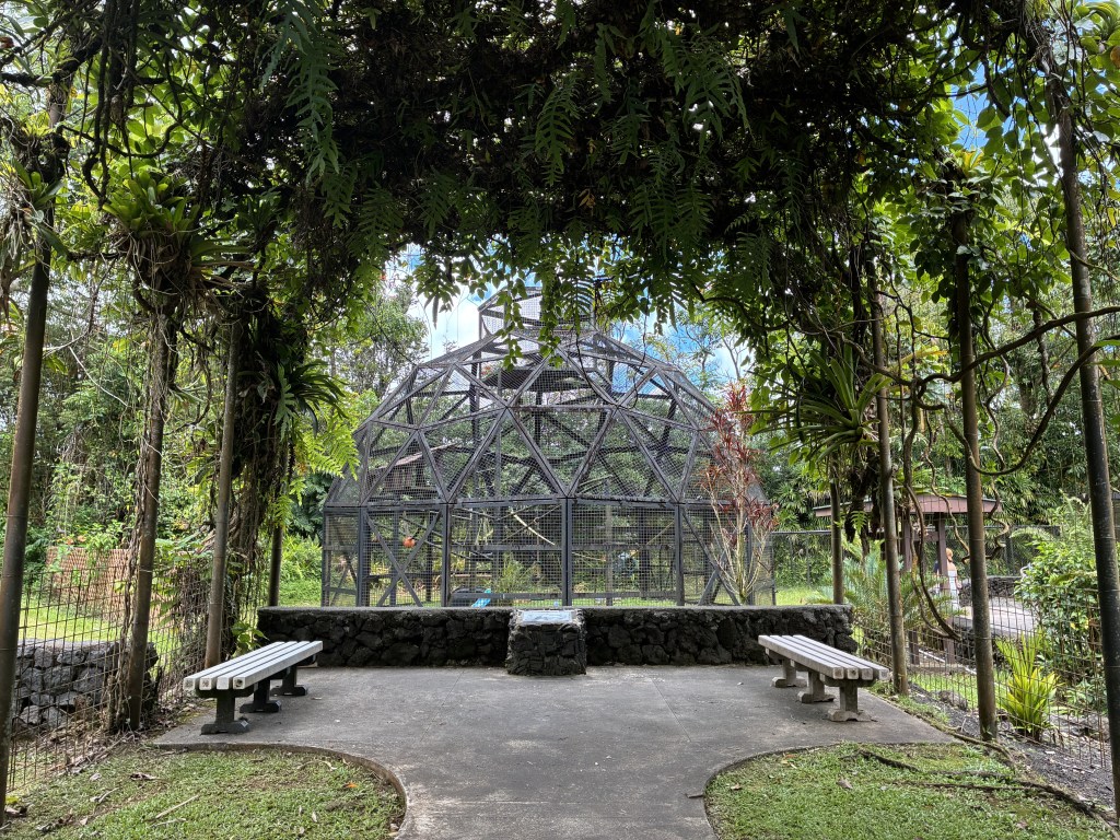 Spider monkey enclosure at Panaʻewa Zoo in Hilo
