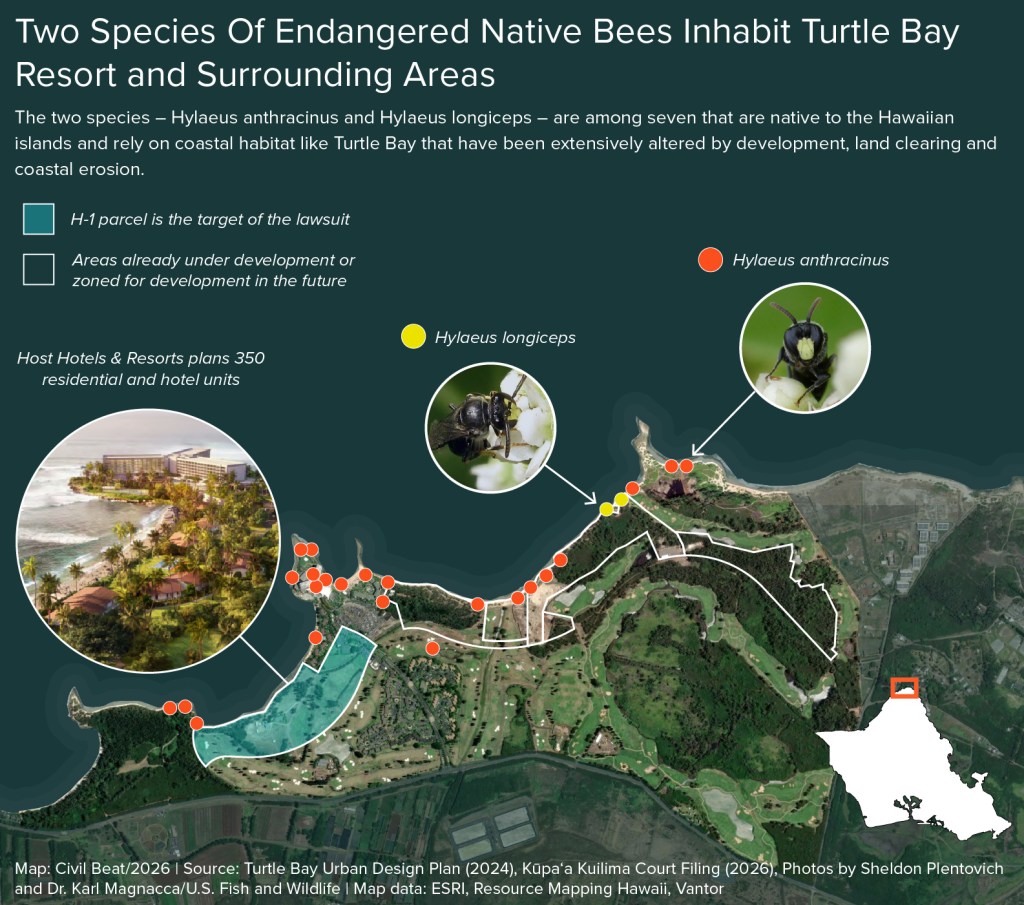 Map of the Turtle Bay development area and the surrounding areas that are the habitat of endangered native bees.