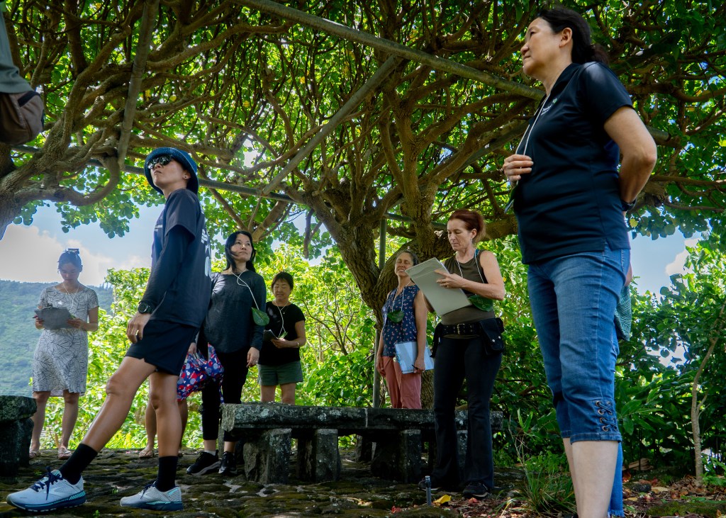 Teachers tour the grounds of Mānoa Heritage Center July 9, 2026. They participated in a workshop on local flora and environmental stewardship. (Craig Fujii/Civil Beat/2026)