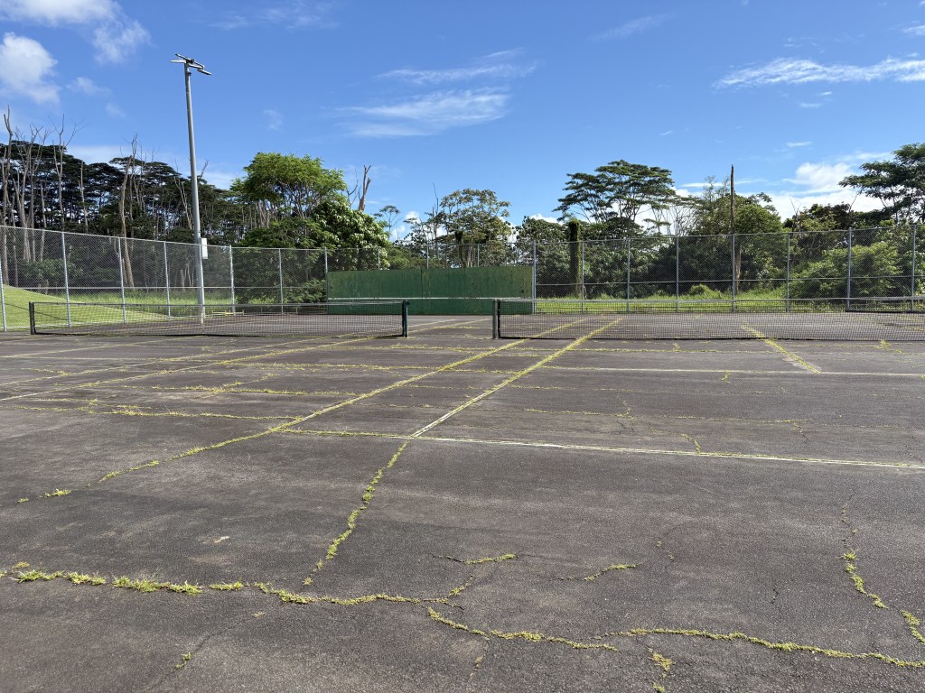 The herbert shipman park tennis courts are cracked, sun bleached and is growing weeds.