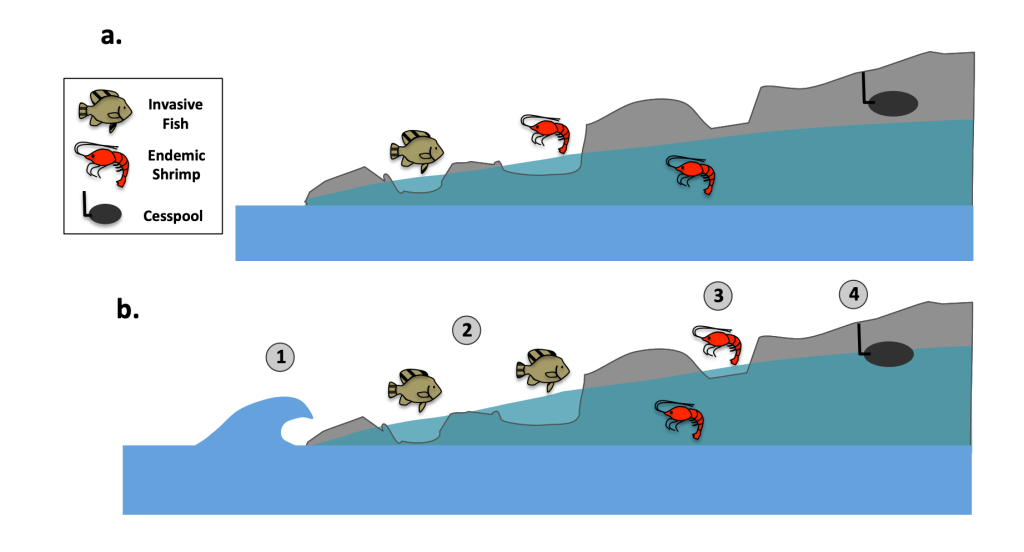 A graphic showing representation of the pools in two scenarios: current threats and future threats. 