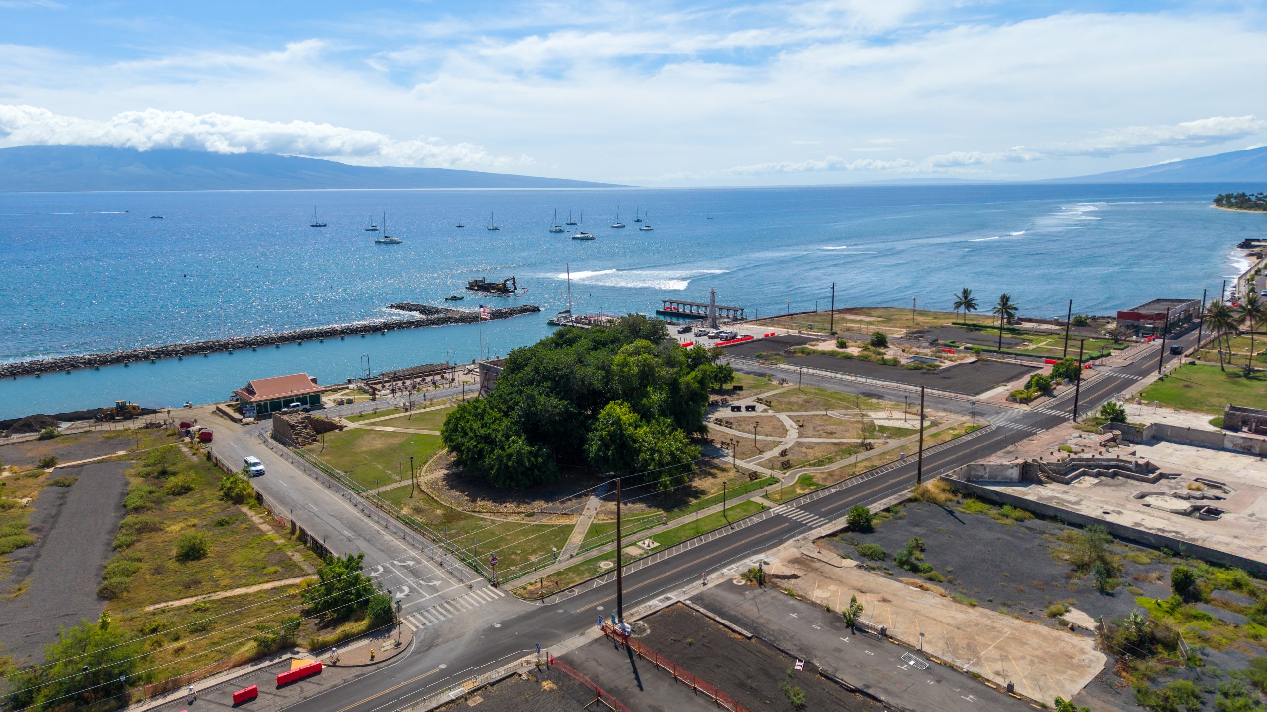 Lahaina’s famed banyan tree — for some a powerful symbol of the town’s resilience and for others a painful reminder of the area’s complicated colonial legacy — continues to recover from the fires. (Sean Hower/Civil Beat/2026)