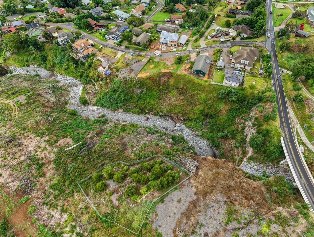 The same view a year later shows less vegetation, but multiple empty lots remain. (Sean Hower/Civil Beat/2026)