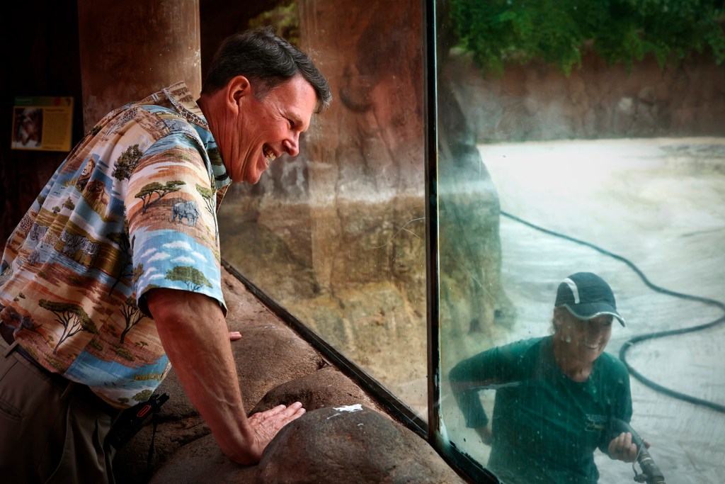 Honolulu Zoo Director John Berry shares a light moment with Hippo Keeper Melissa Madrid-Odom as she cleans the hippo enclosure Monday, Aug. 31, 2026, in Honolulu. Berry is the new director. (Kevin Fujii/Civil Beat/2026)