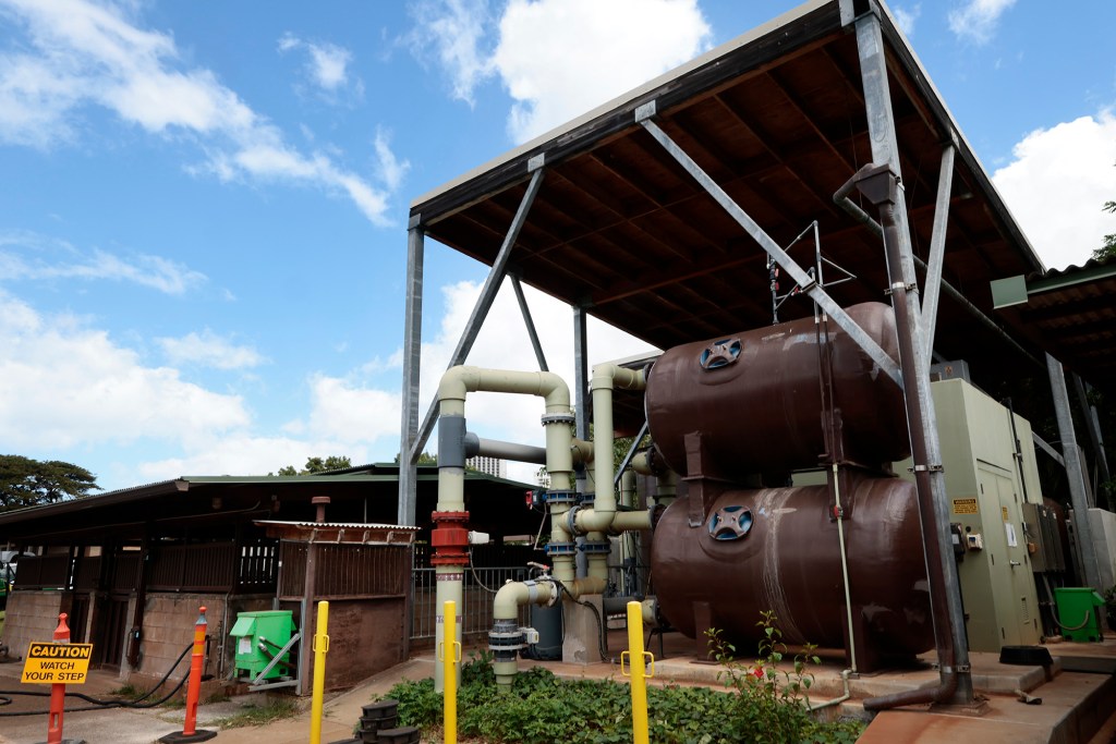 Honolulu Zoo Director John Berry shows off the water filtration system of the two hippos Monday, Aug. 31, 2026, in Honolulu. Berry is the new director. (Kevin Fujii/Civil Beat/2026)