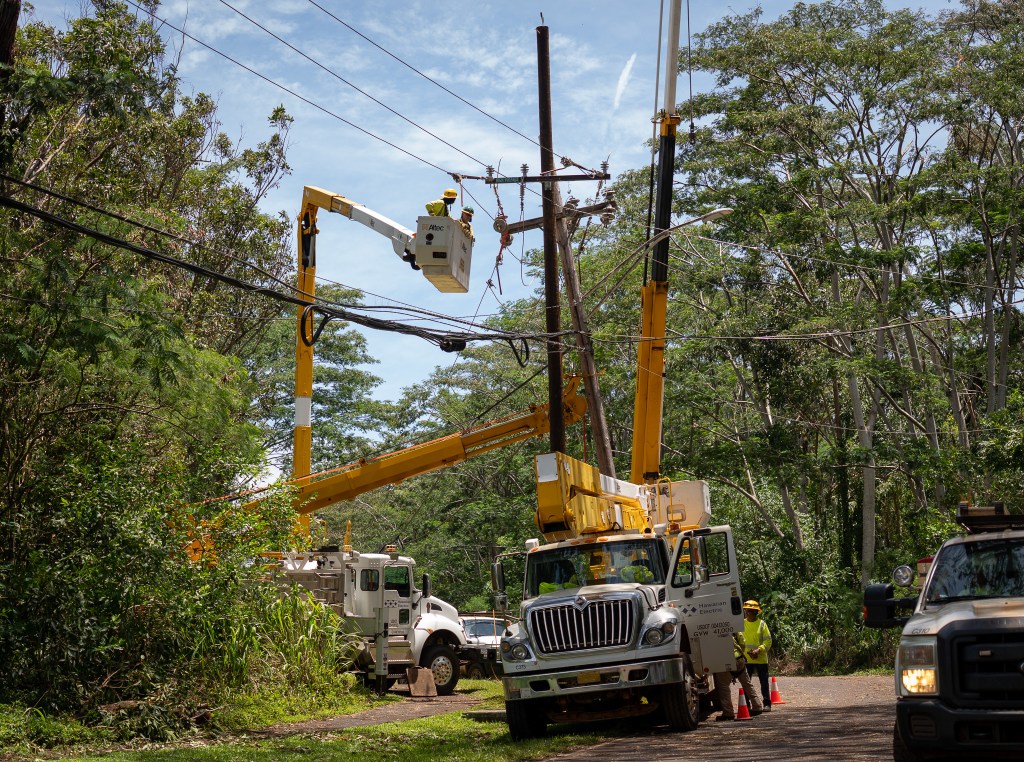 A HECO crew works on transmission lines on Higgins Road in Mililani August 18, 2026. Heavy tree growth and Lala's high winds wreaked havoc on power lines across the state. (Craig Fujii/Civil Beat/2026)