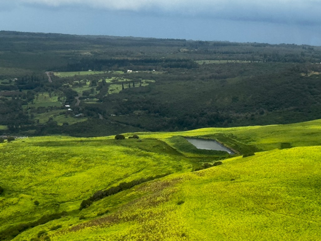 A bright green hillside seen from above, with a rectangular reservoir embedded in the hillside.