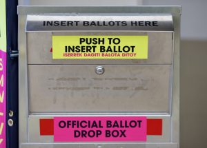 How Keiki Are Rewriting The Rules Of Civic Engagement And Voting