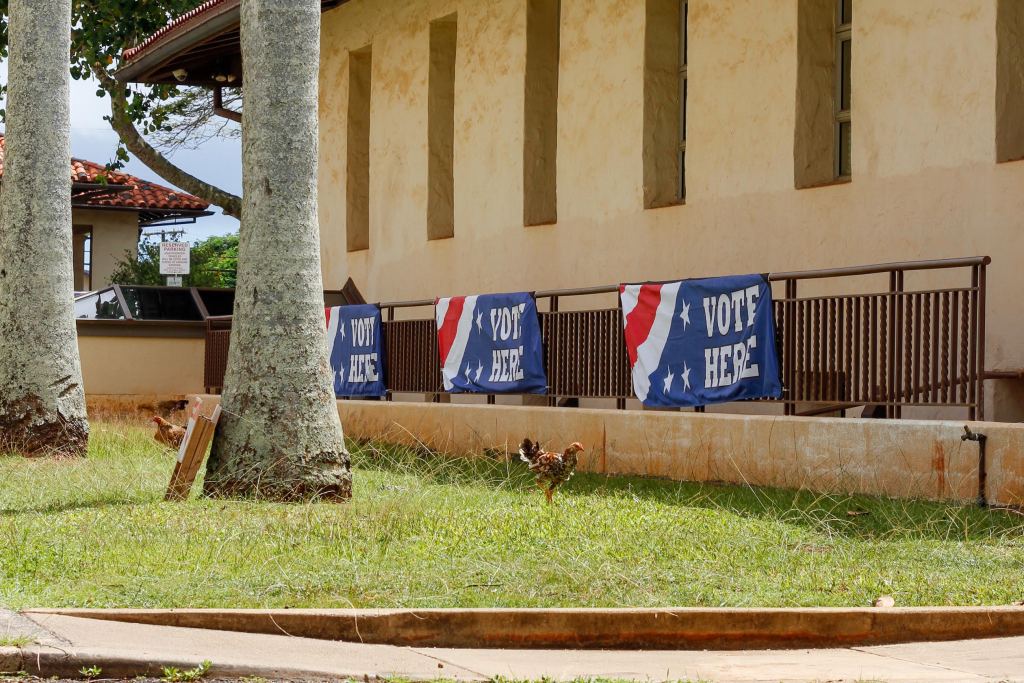 At 10 a.m. Saturday, the Lihu‘e voting station was fairly quiet. By 11 a.m. there was a steady stream of folks coming through, yet no waiting in line thanks to helpful staff. (Seth Womble/Civil Beat/2026)