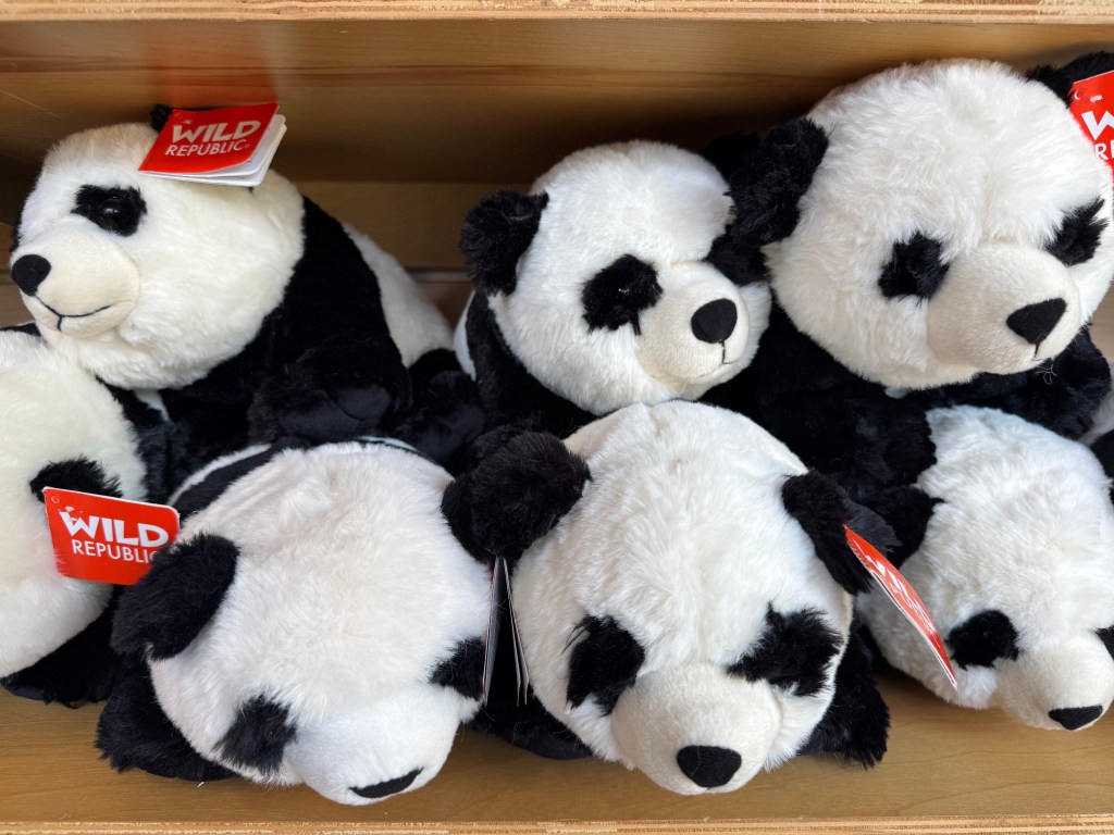 Several stuffed pandas fill a wooden shelf