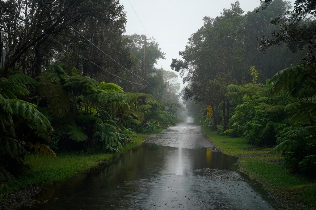Water covers Pearl Avenue in Mauna Loa Estates as Hurricane Nolo sits south of Hawaiʻi Island Saturday, Sept. 26, 2026, in Volcano. (Kevin Fujii/Civil Beat/2026)