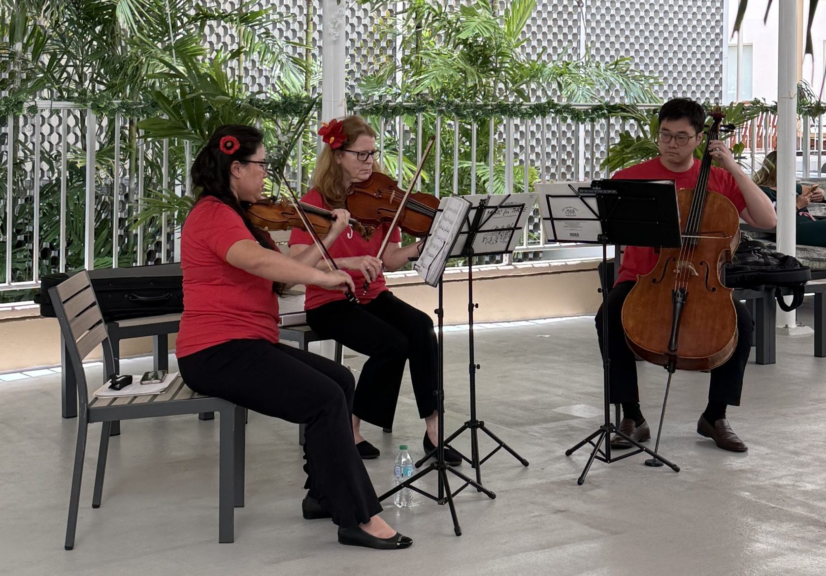 Hawaiʻi Symphony Orchestra chamber ensemble