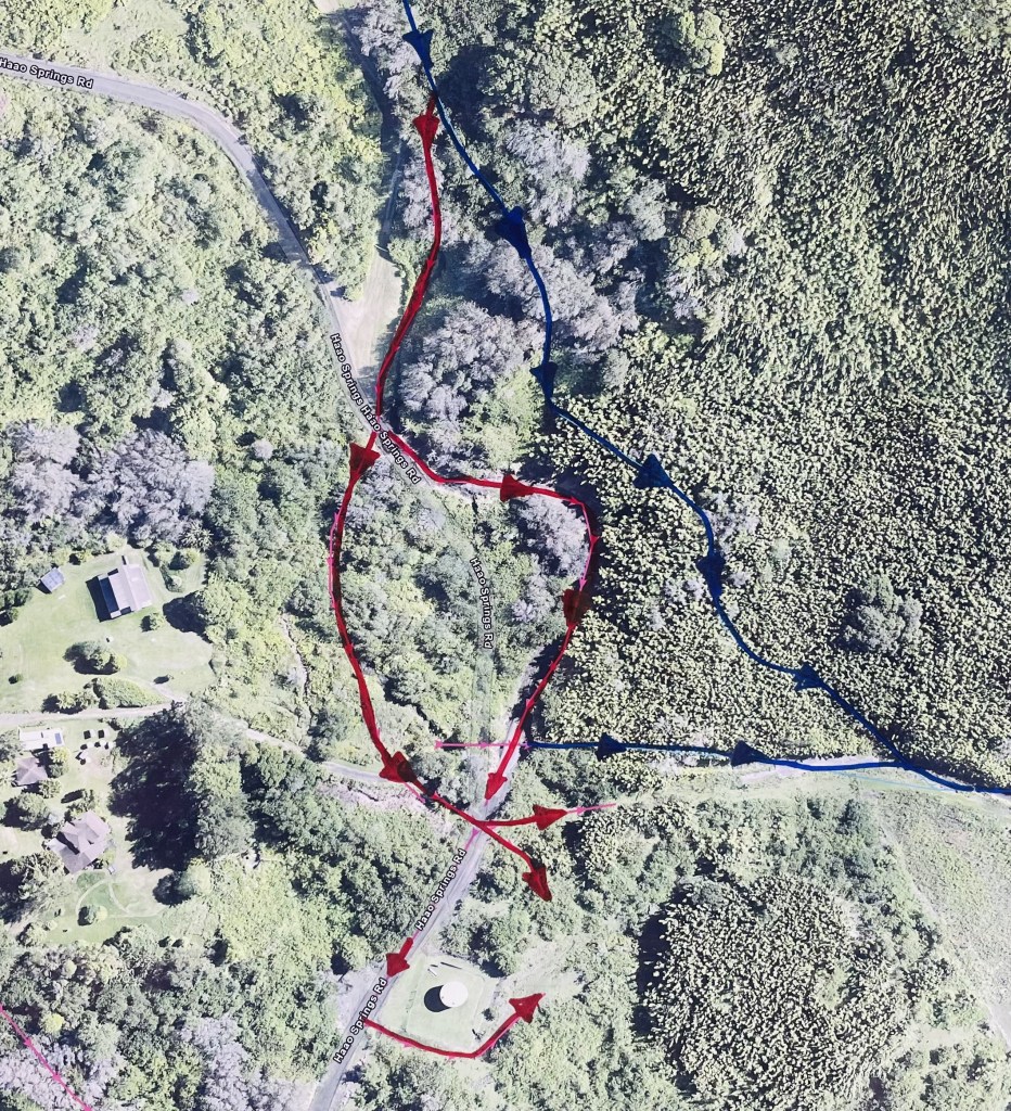 Flooding from Hurricane Lala opened new channels and changed runoff patterns on the slopes of Mauna Loa above Waiohunu and Nāʻālehu, which raises concerns about new and unexpected flooding. One example was the area shown just below Hao Springs Road. The blue lines show the path runoff has traditionally taken during storms, and the red lines show new routes created by overflows generated by Hurricane Lala.