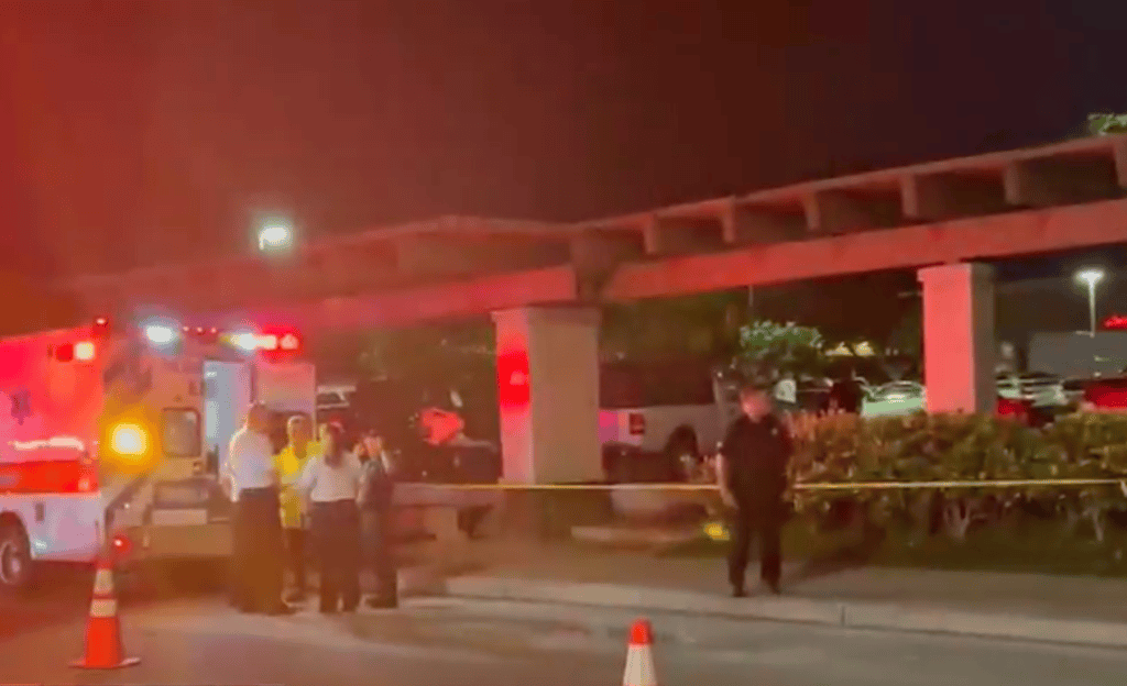 Kailua Shooting: Woman Arrested, Son Of Miske Associate ID’d As Victim